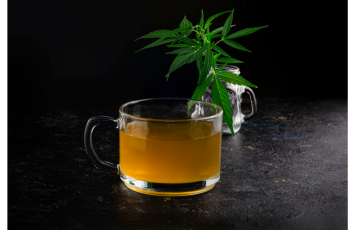 Herbata CBD – najlepszy sposób na relaks
